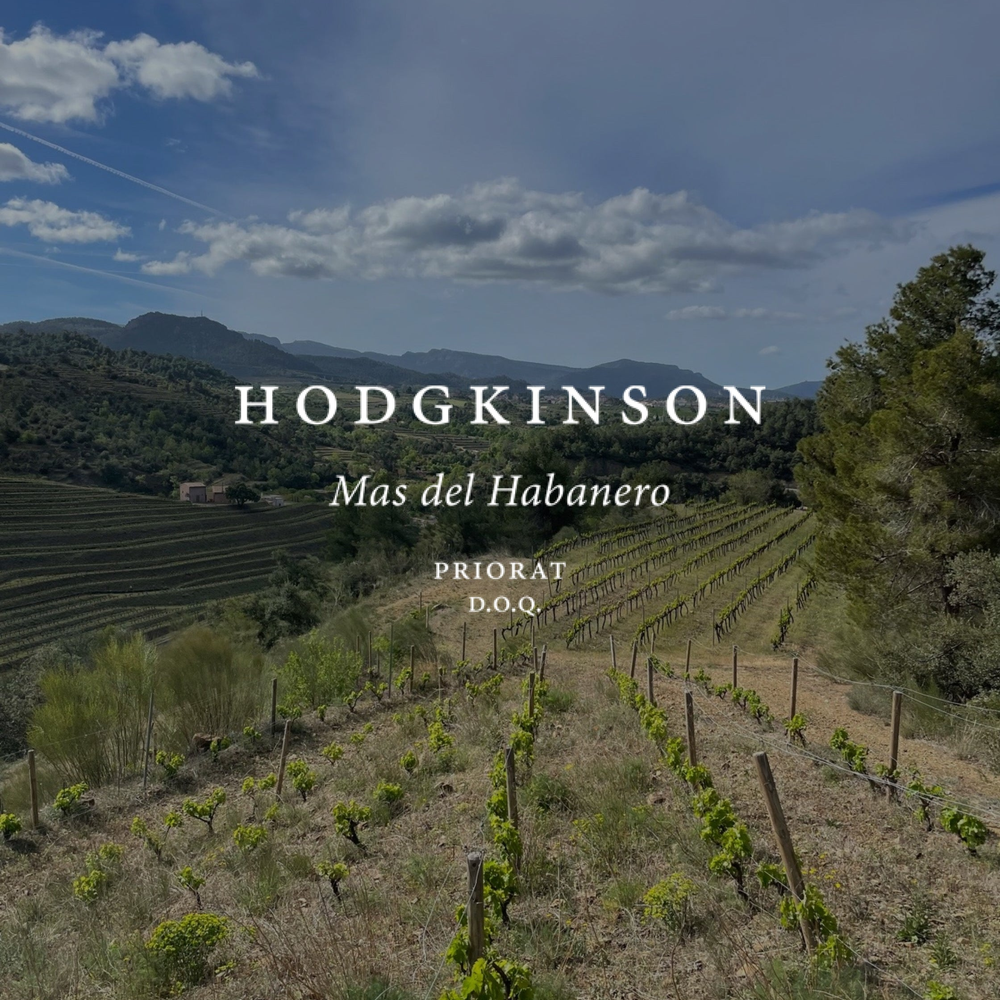 Hodgkinson