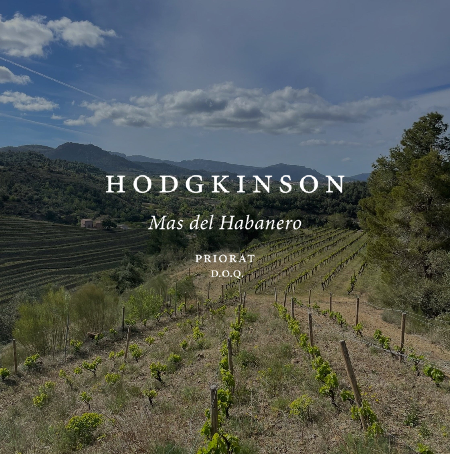 Hodgkinson