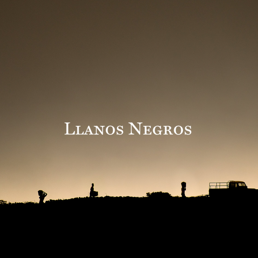 Llanos Negros