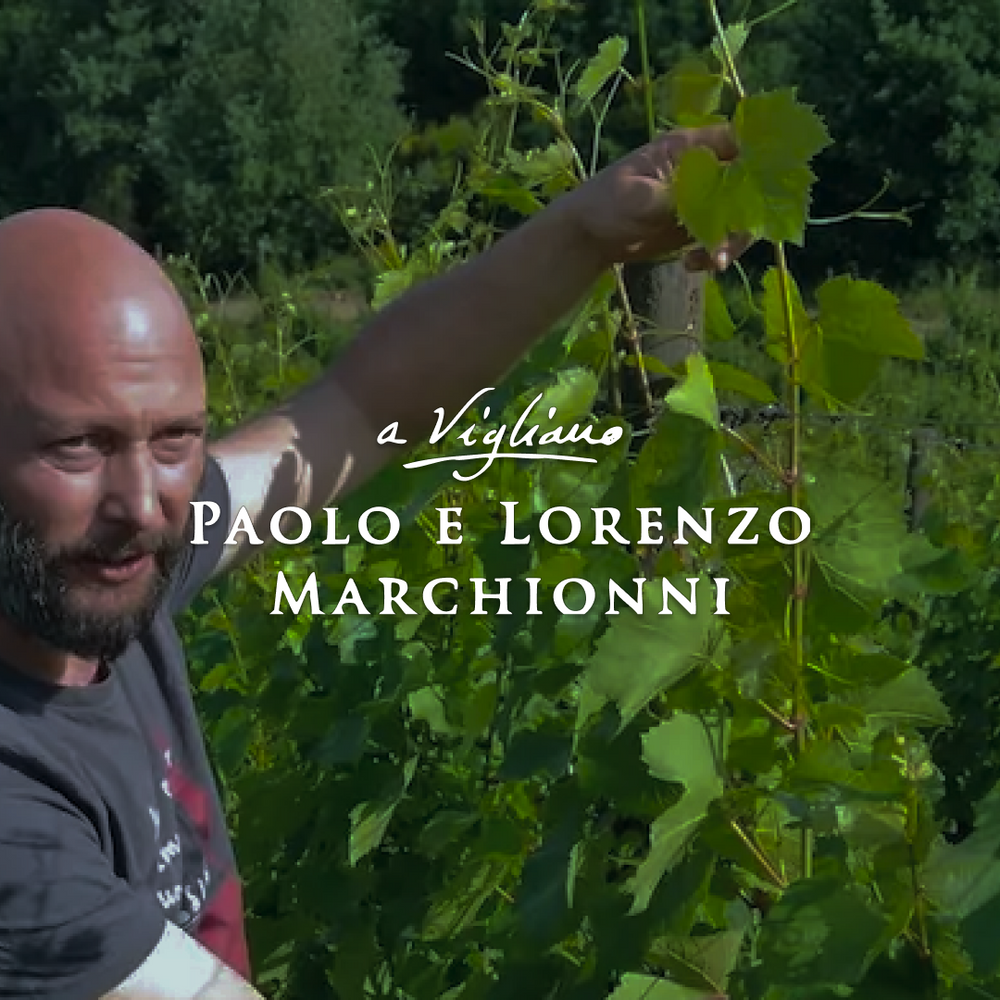 Marchionni