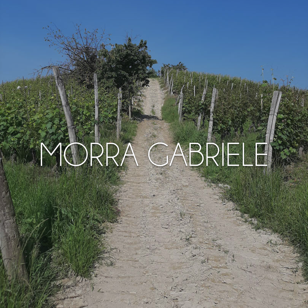 Morra Gabriele