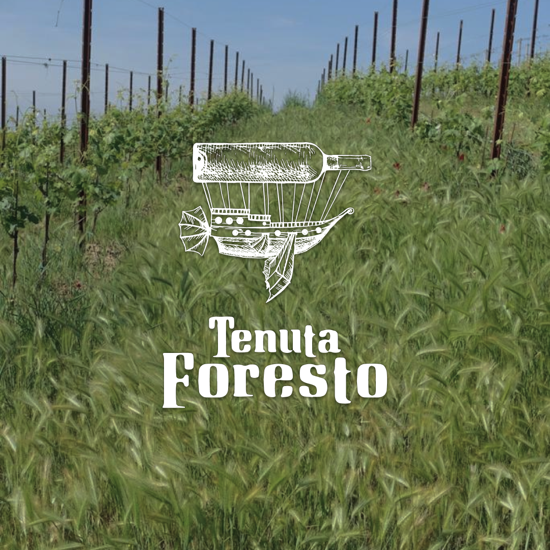 Tenuta Foresto