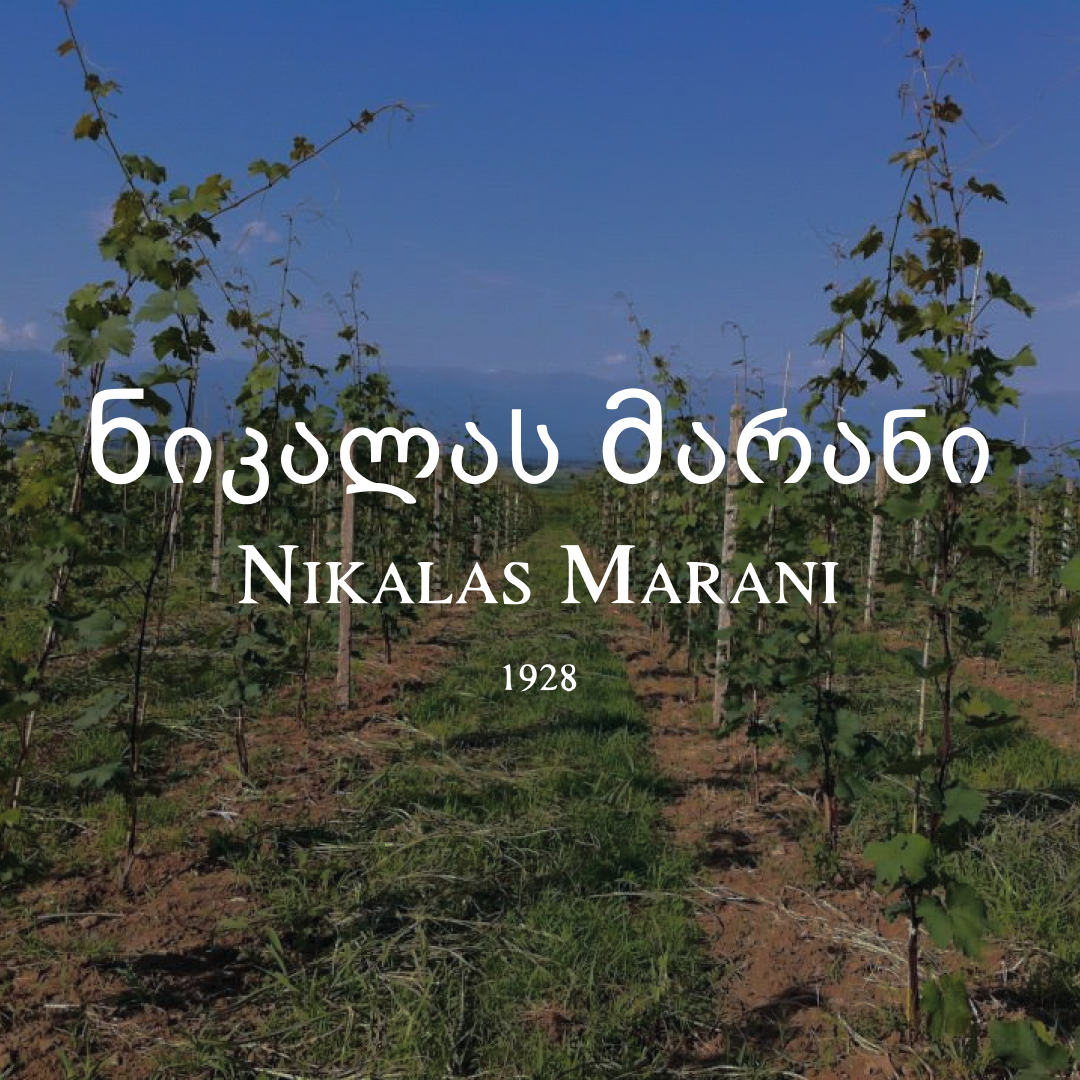 Nikalas Marani