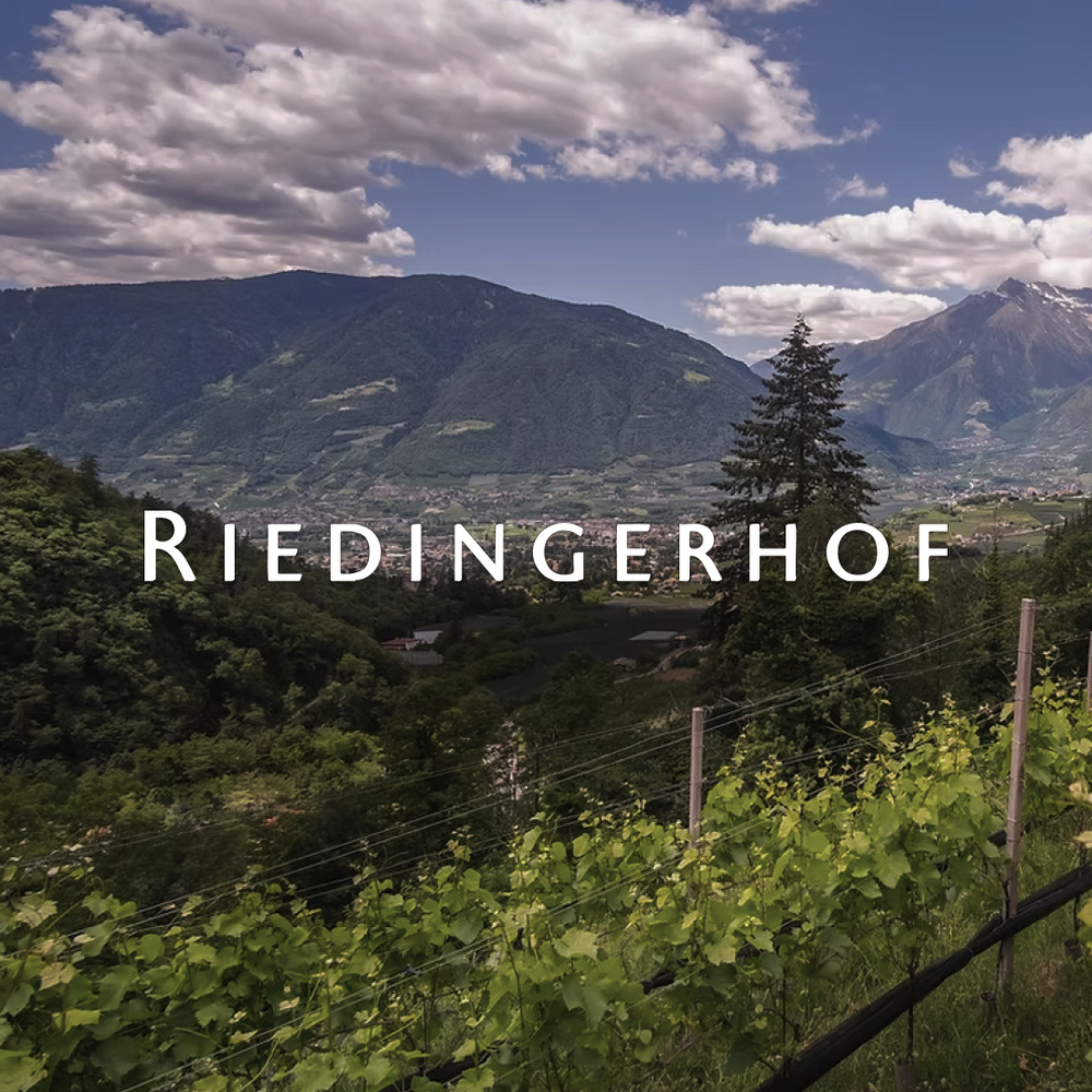 Riedingerhof