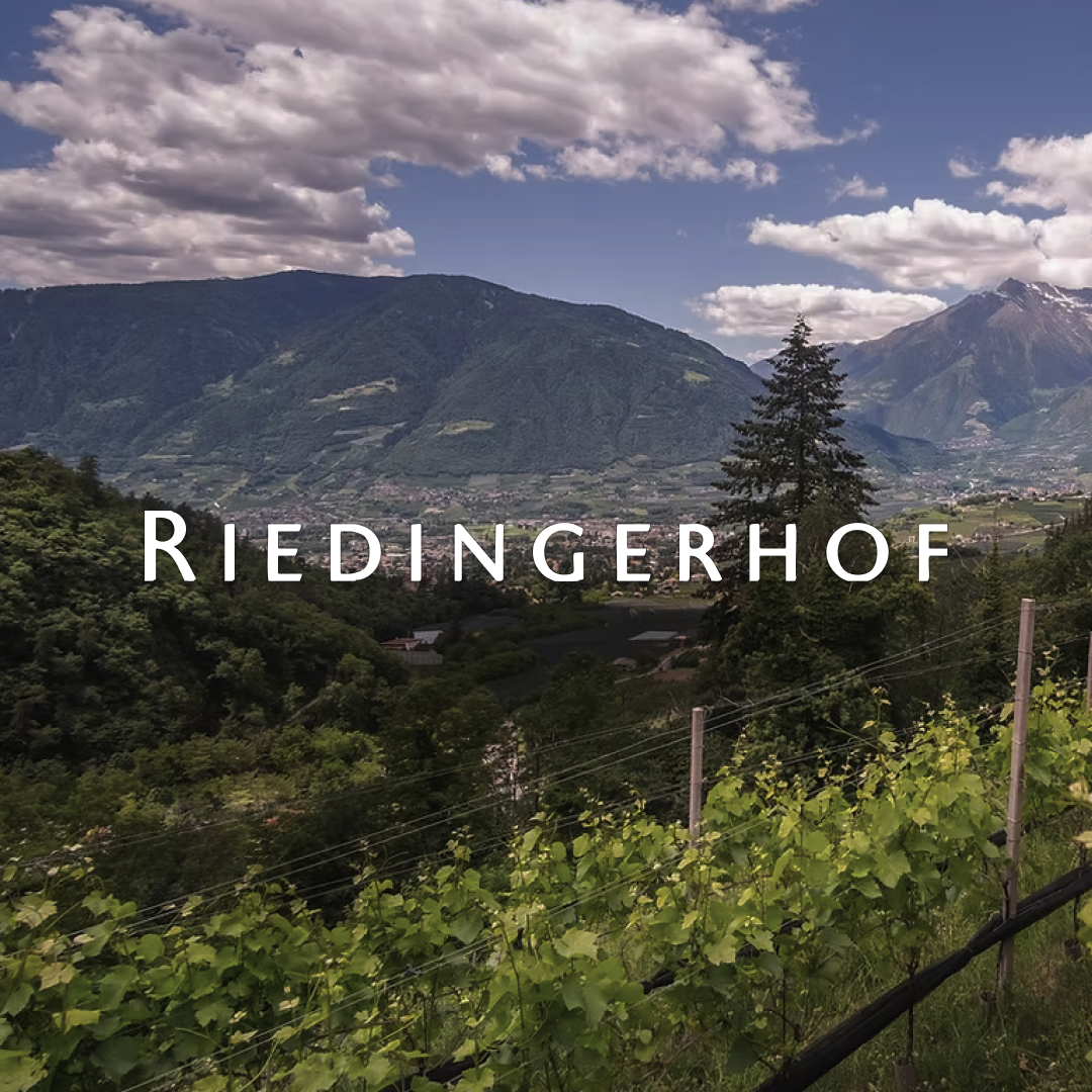 Riedingerhof