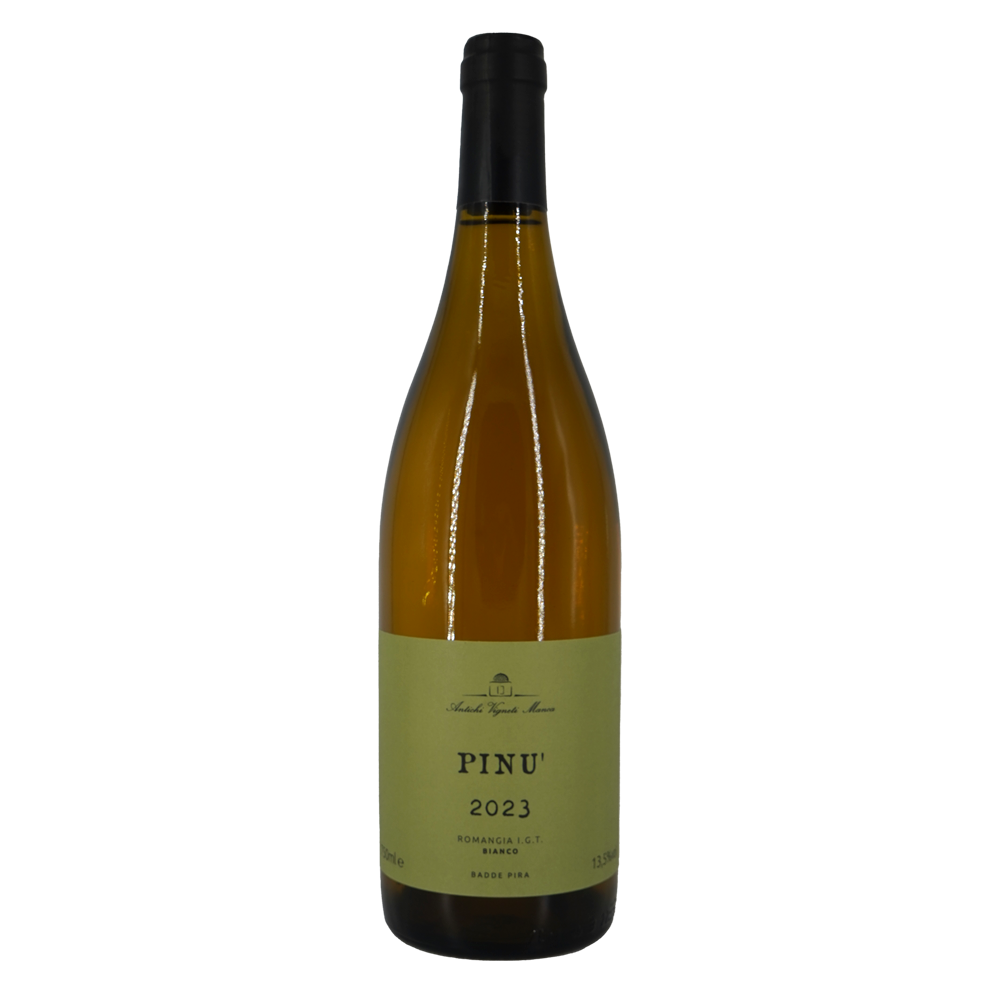 Pinú bianco
