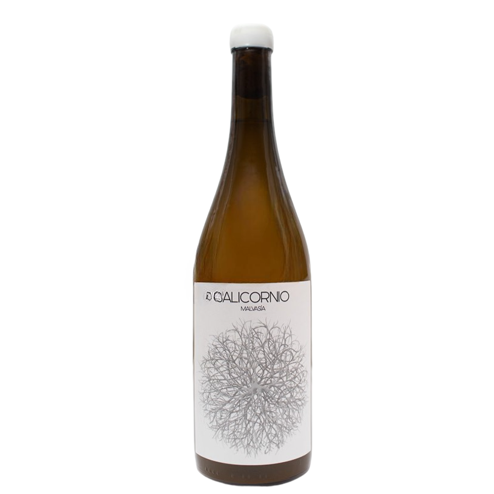 Salicornio Malvasia