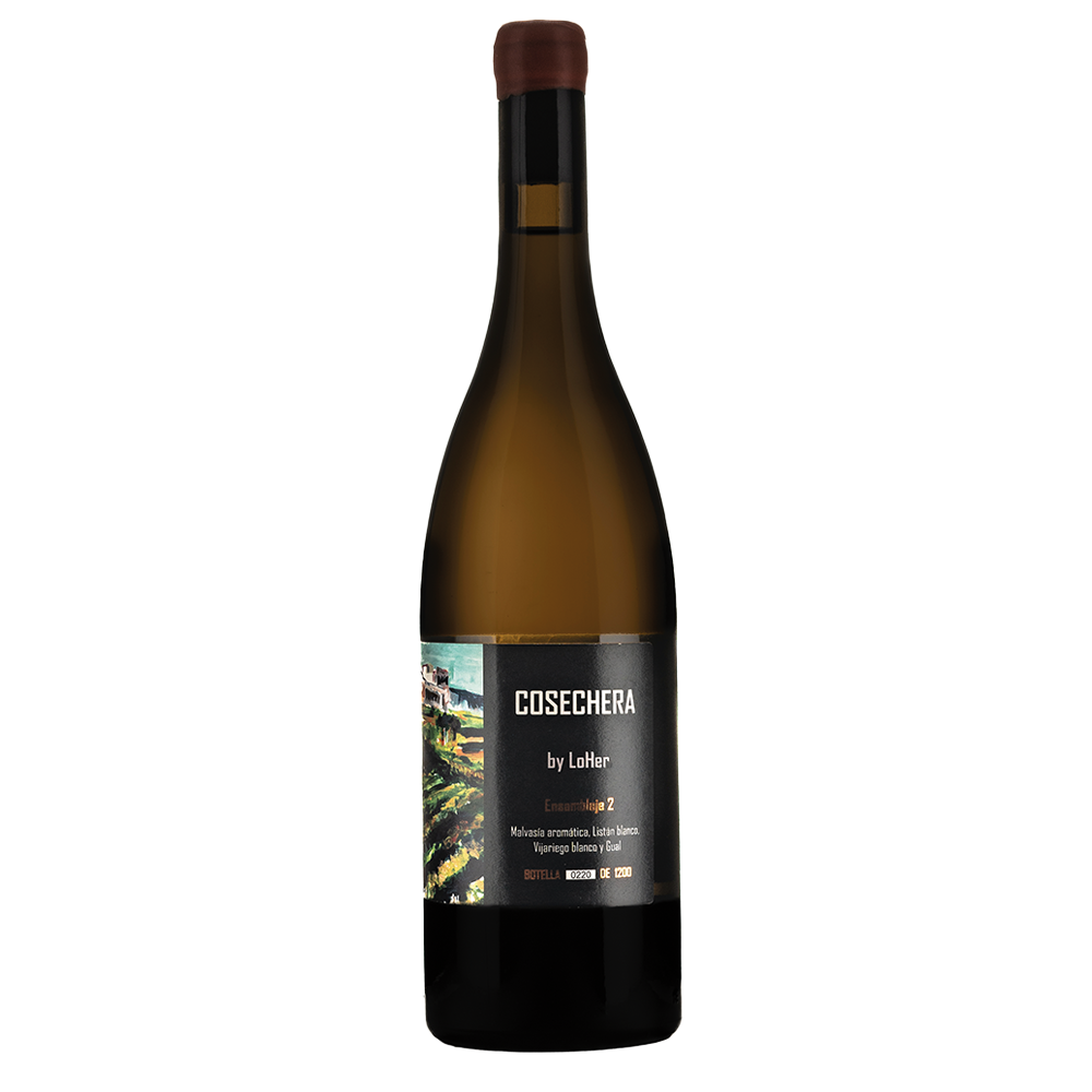 Cosechera Ensamblaje II